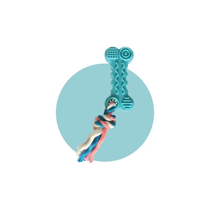 Picture of Puppy Teething Toy Bone with Rope | Soothing & Durable
